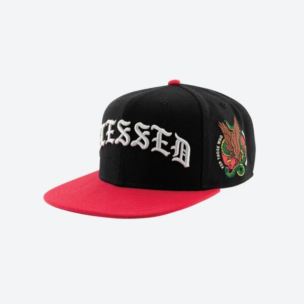 DGK Guerrero Snapback