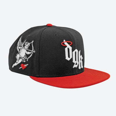 DGK ANGELIC SNAPBACK HAT