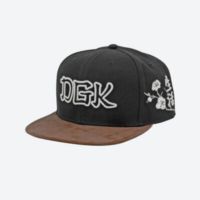 DGK ZION SNAPBACK HAT